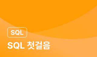 SQL 시작하기 이미지